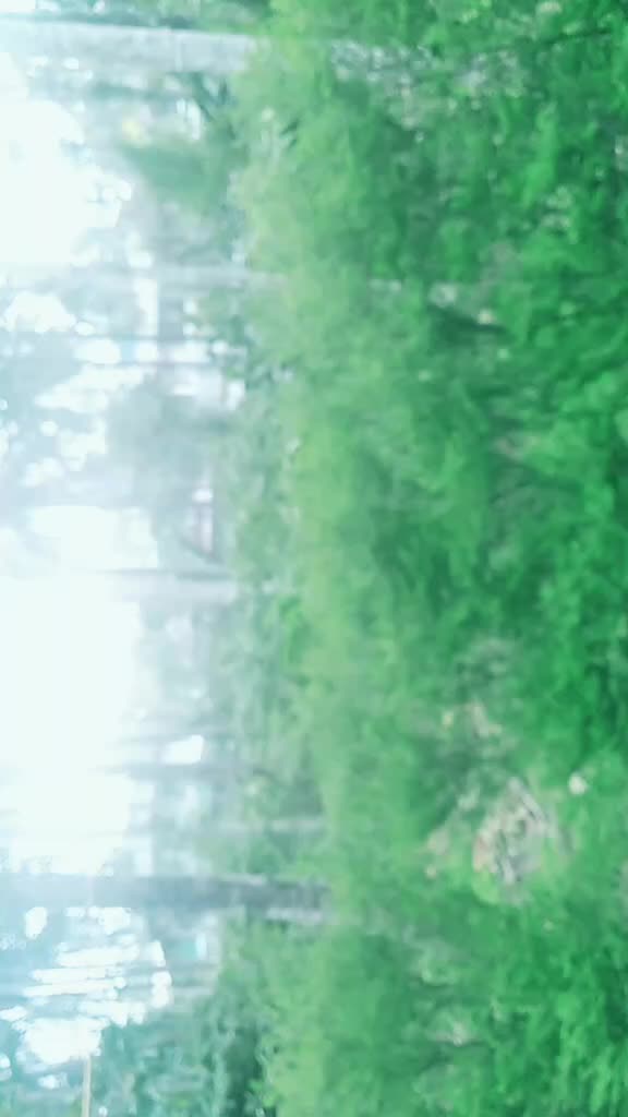 @IKKANTEY KUTTI ๐