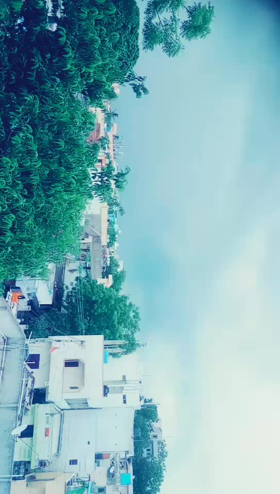 @@🌴Gouds🌴@