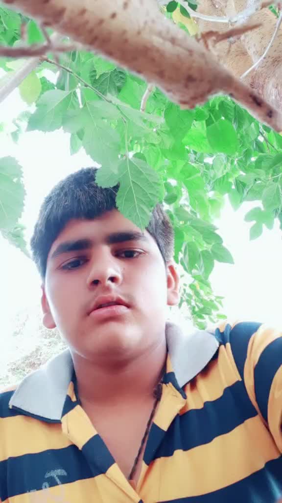 @Fenil Kathiriya