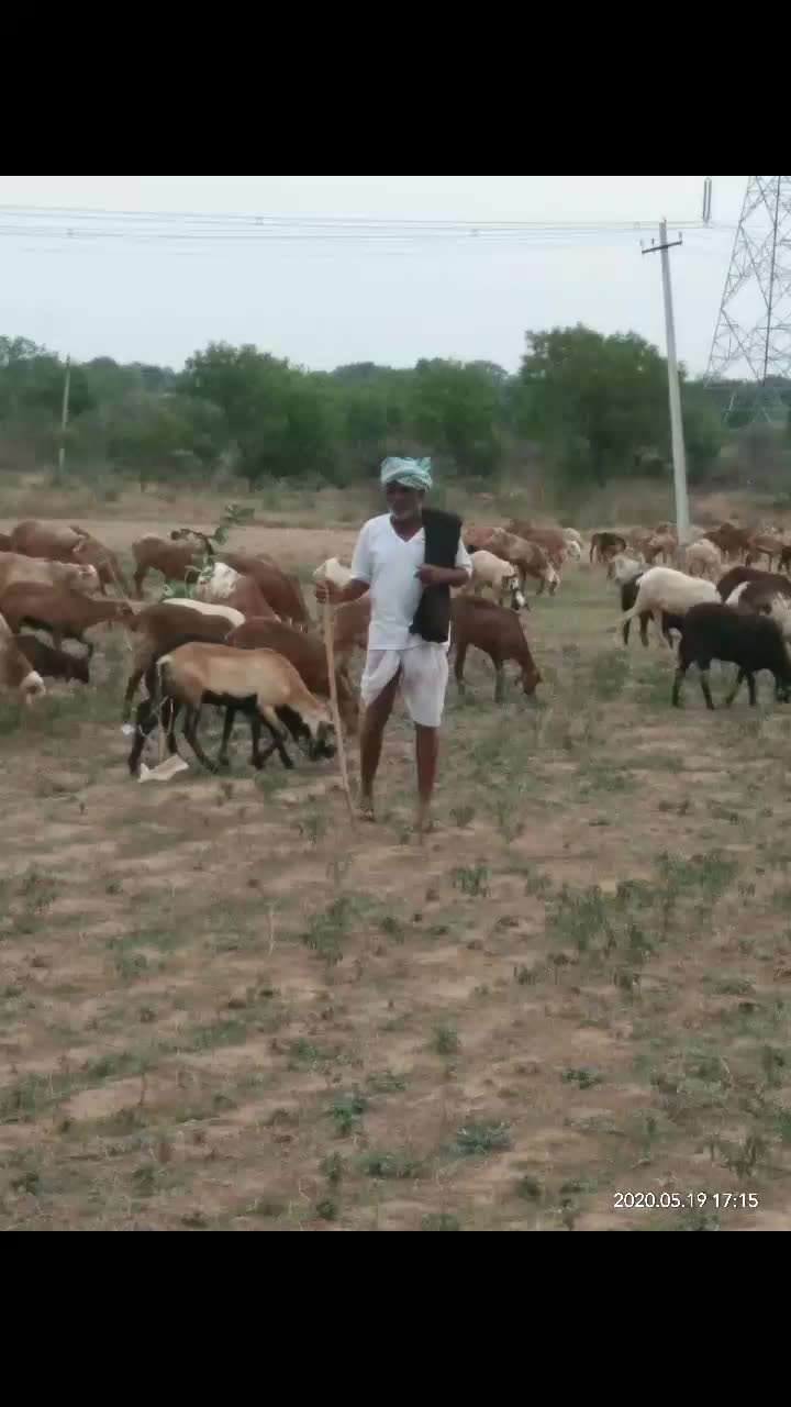 @path vikas yadav 123