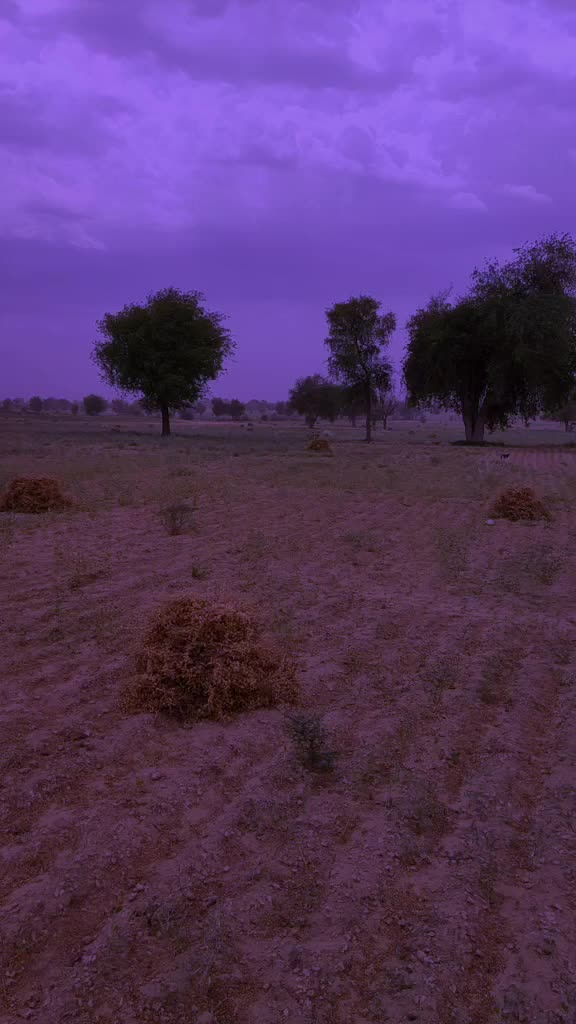 @Vijendra Kumar
