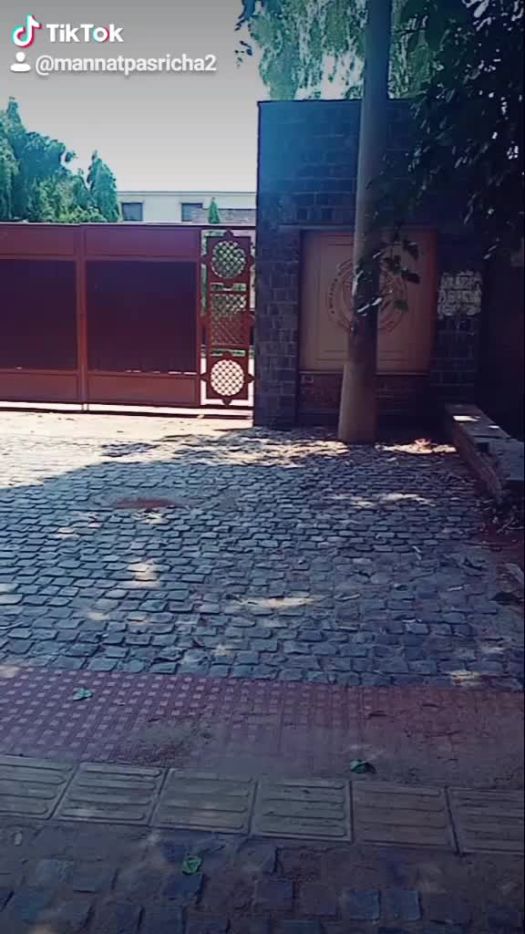 @Mannat Pasricha