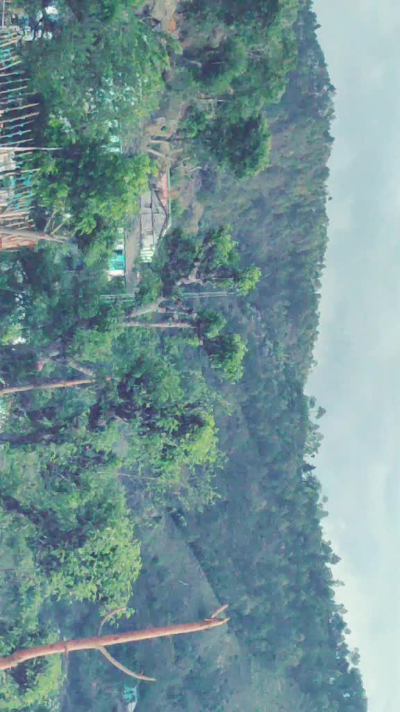 @Manish Joshi पहाड़ी