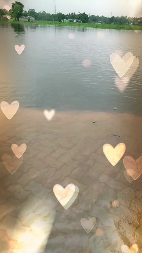 @Alia Khan