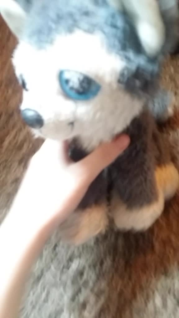 @wolf gamer 2008