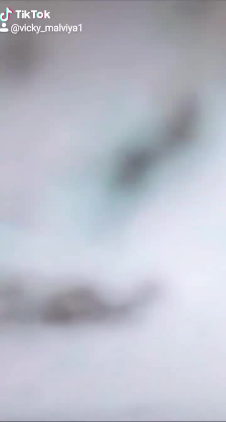 @Vicky_576