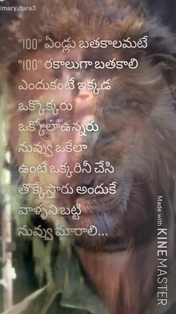 @@tik tok india