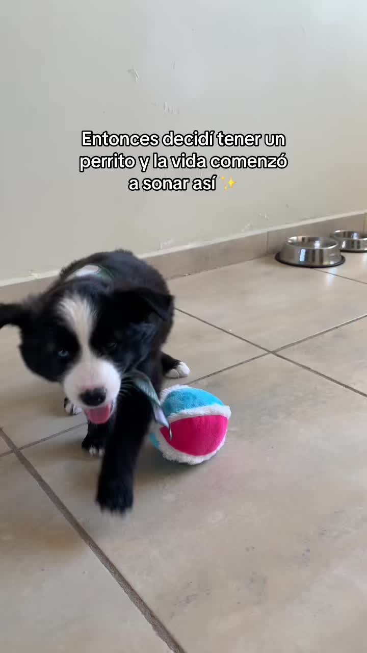 @Vi