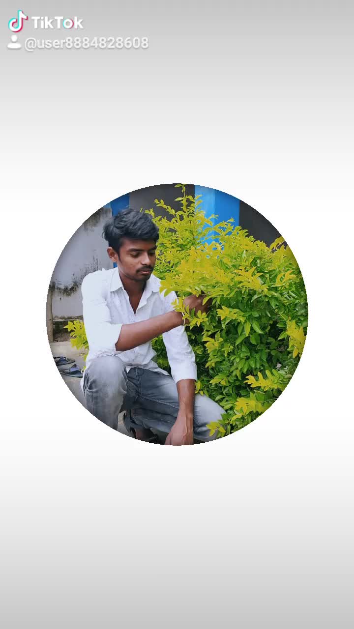 @ಗಡಿನಾಡು ಗುಂಡ್ಲುಪೇಟೆ
