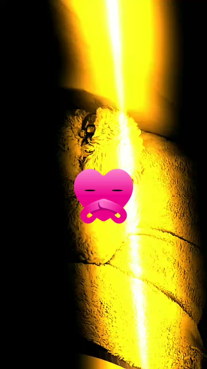 @archievida52