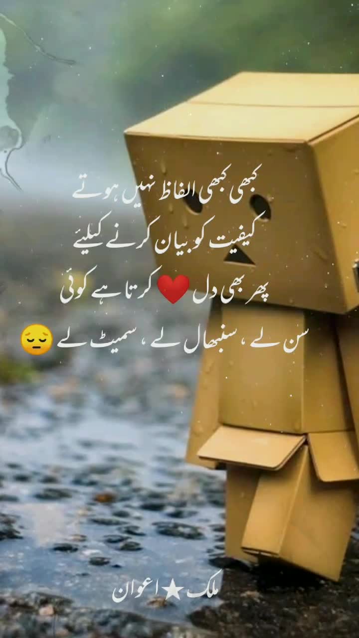 @Malik_Saleem_Raza