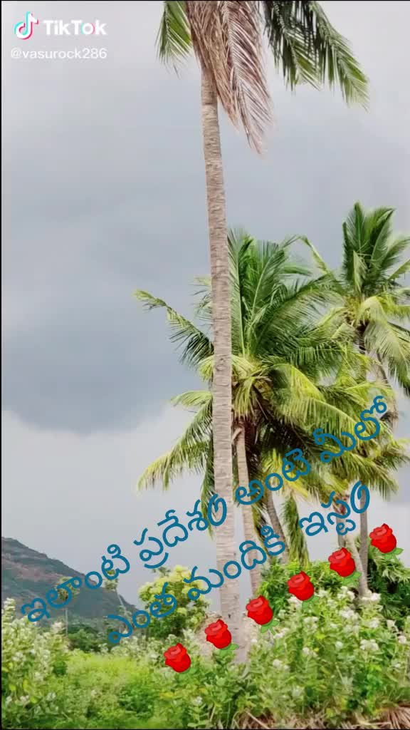 @RAMU YADAV