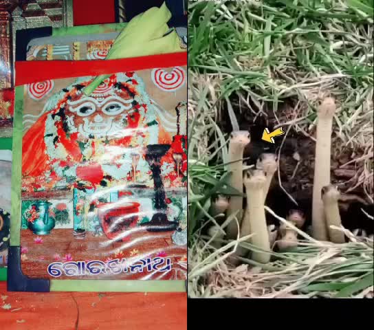 @lucky Rahul20