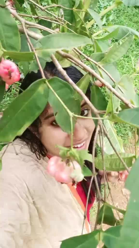 @Aleena Ajai 7843