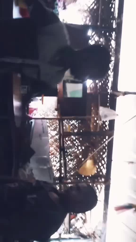 @Saribinu Binu