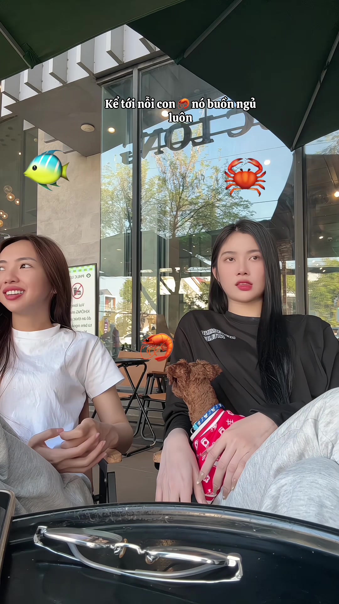 @Phương Phương