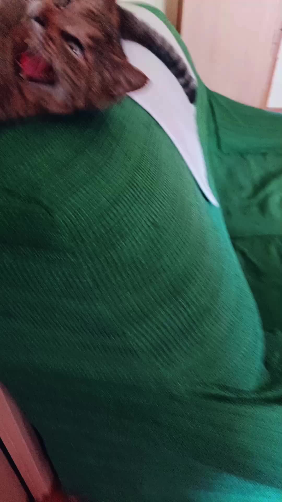 @flay 2026