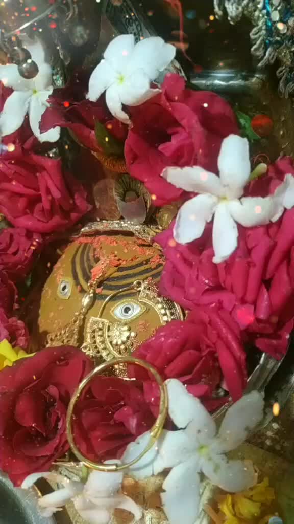 @Hardik Khattri