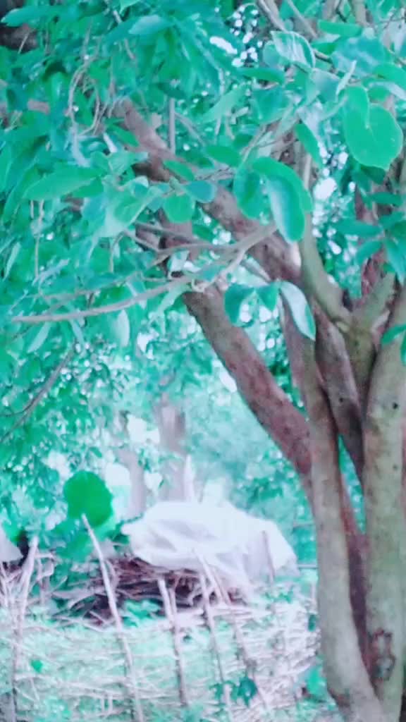 @Prakash Mahato