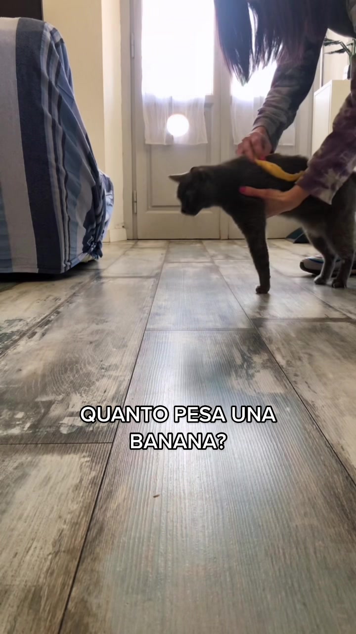 @DynamicFrankie