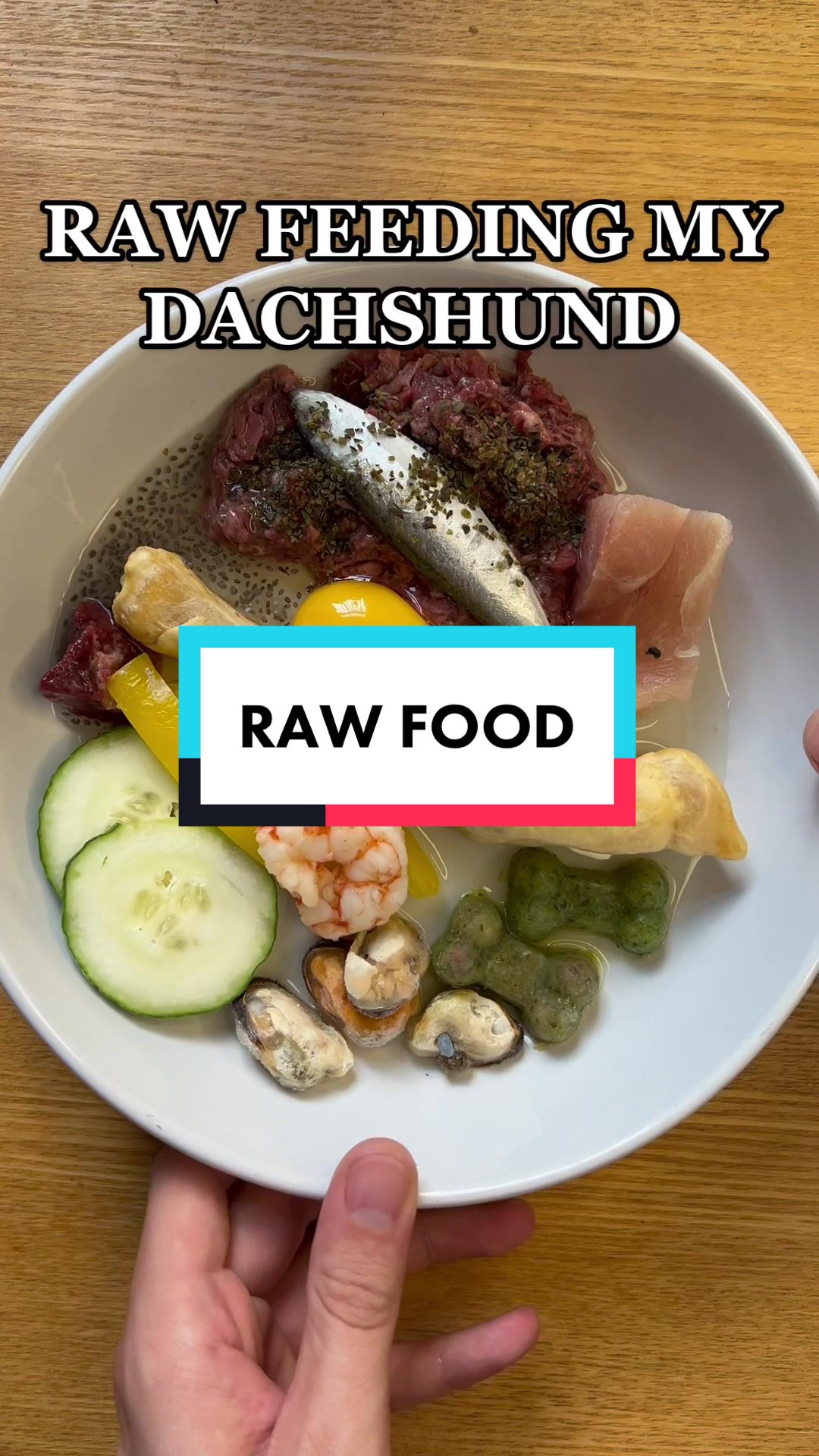 @rawfedASMR