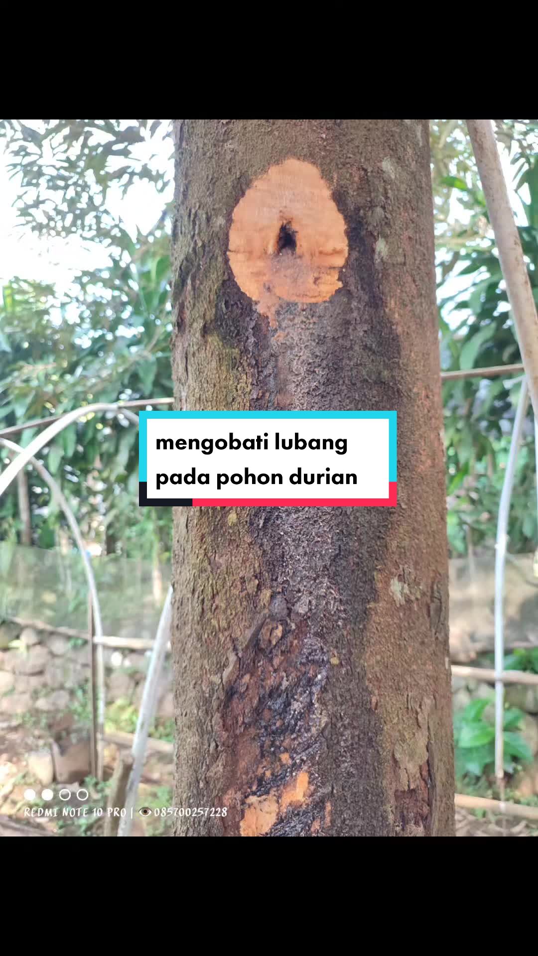 @PUCUK HIJAU🌿