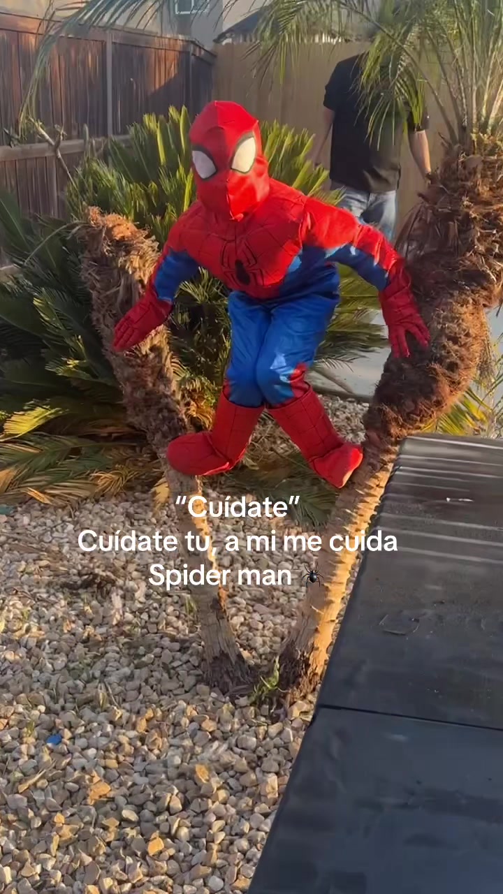@✨𝓒𝓮𝓬𝓲✨