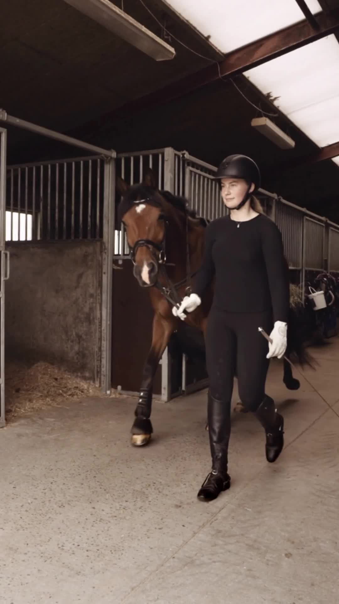 @Golden Horseshoe Equestrian