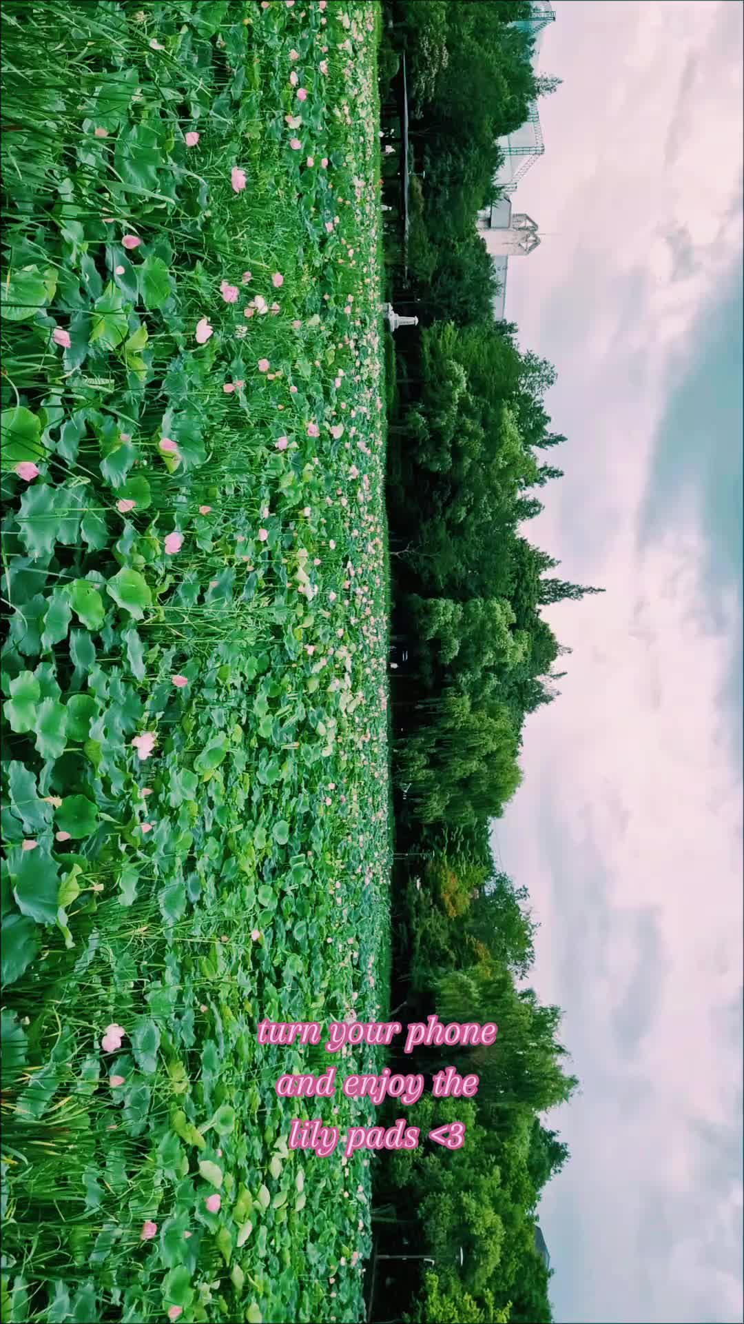 @River