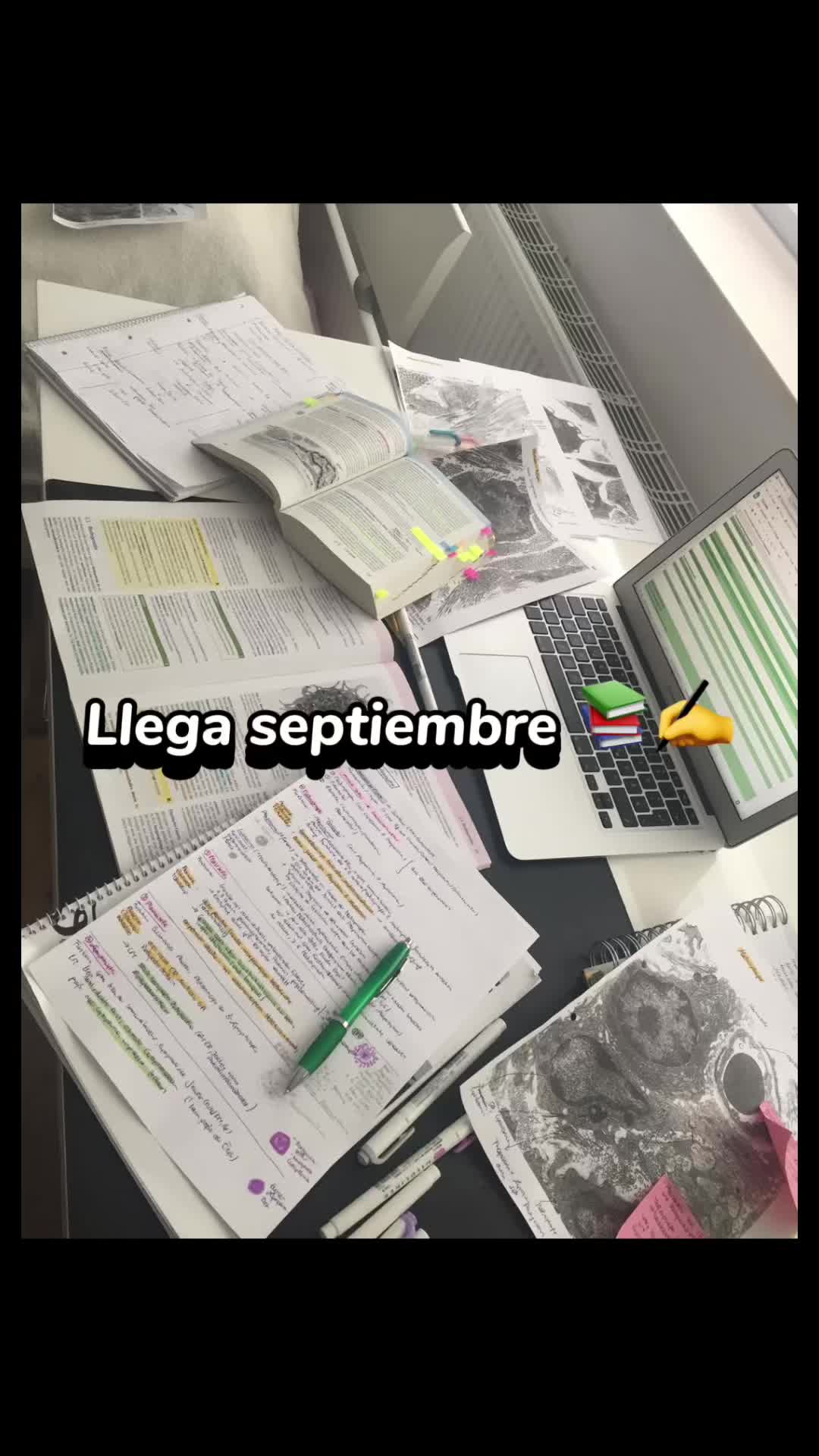 @Raquel