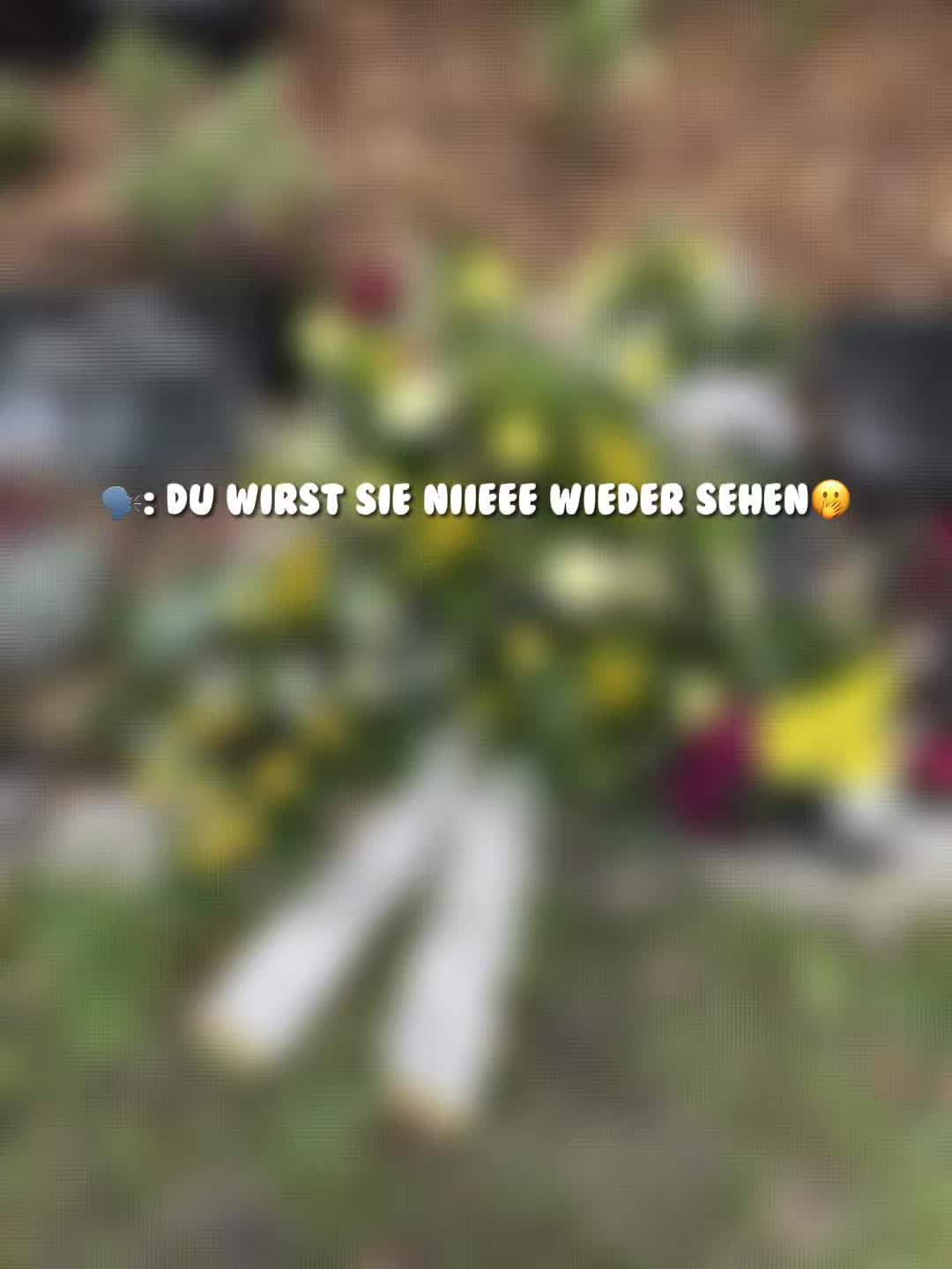 @đđâŻđđžđâ´đťđšđśđđđâŻđđ