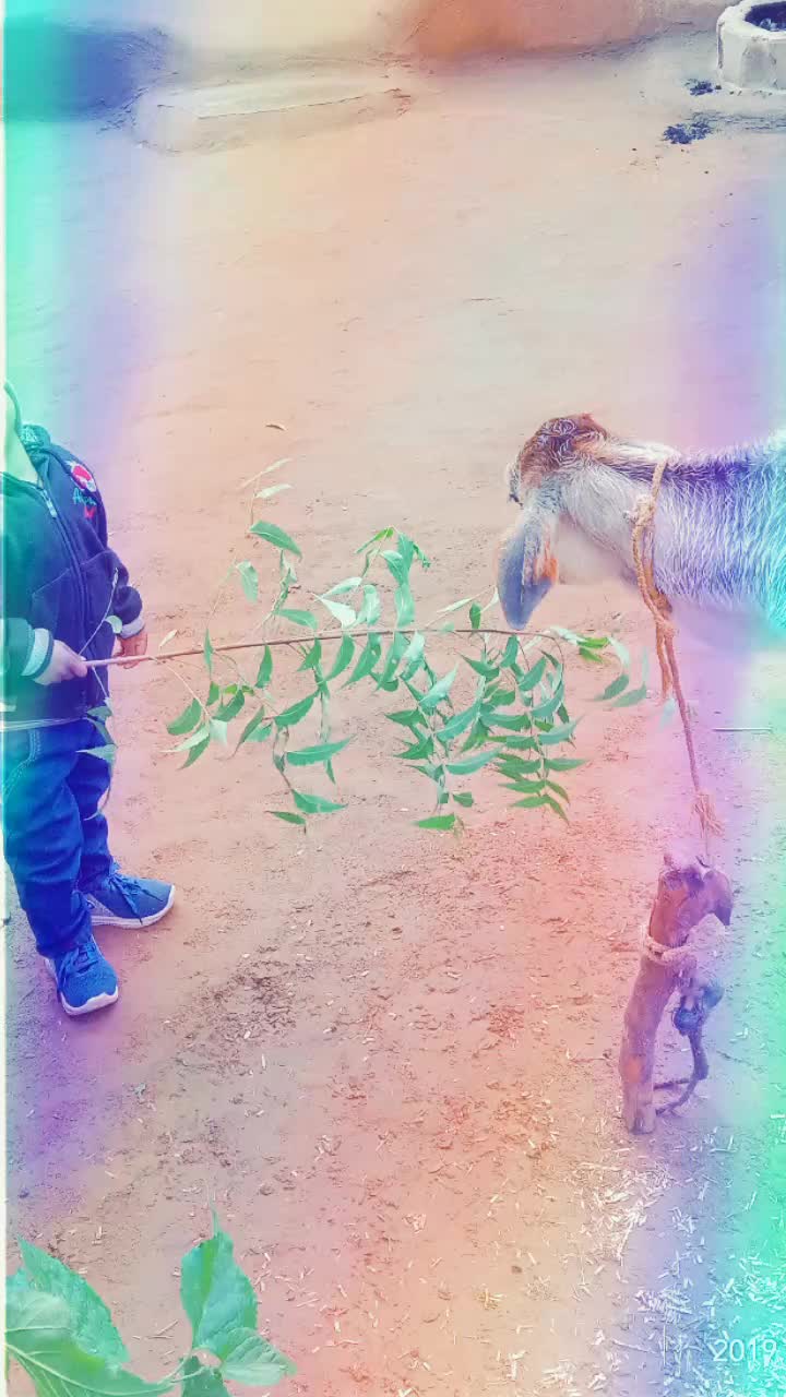 @Rohit gujjar