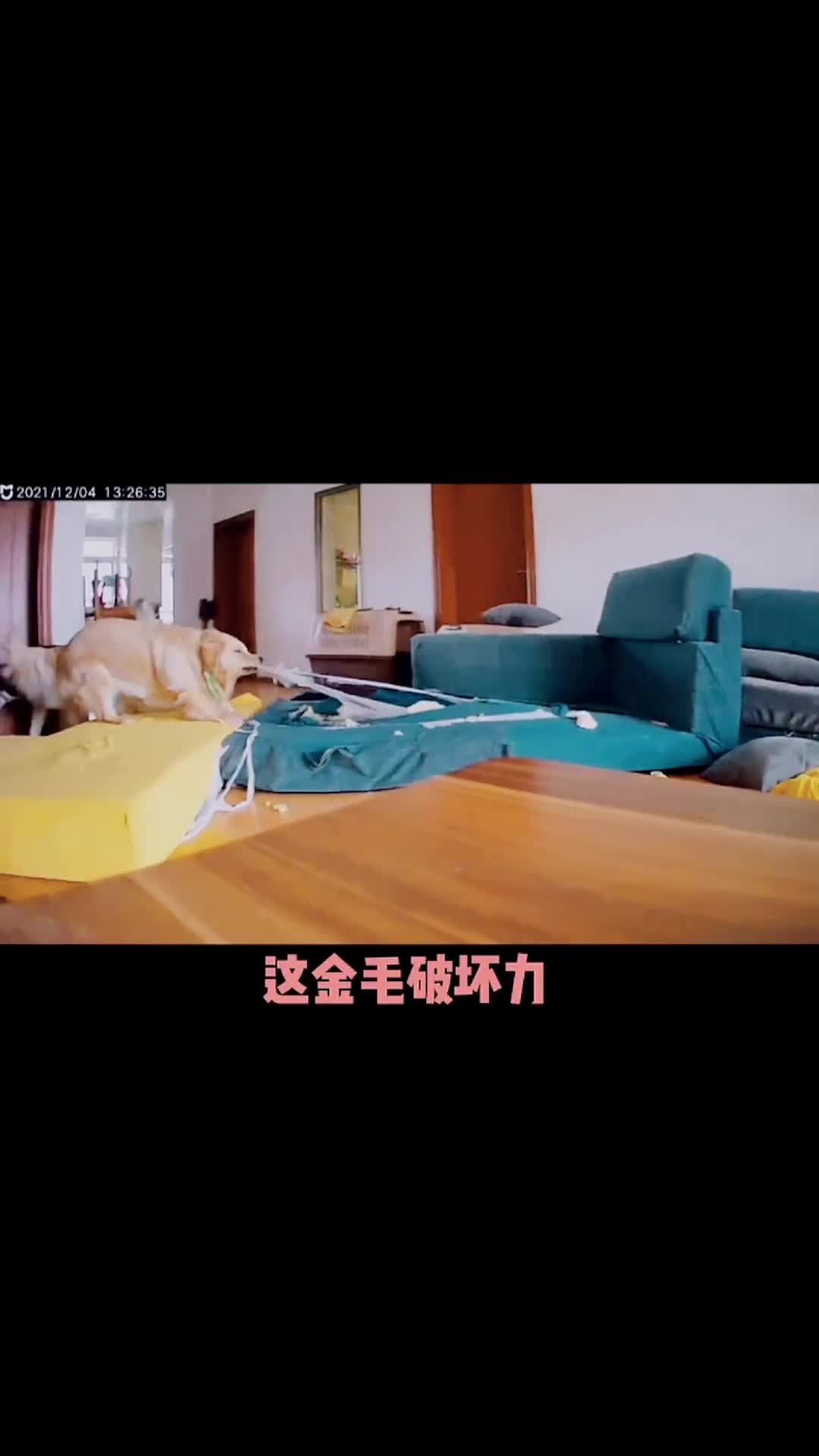@Rufeng518