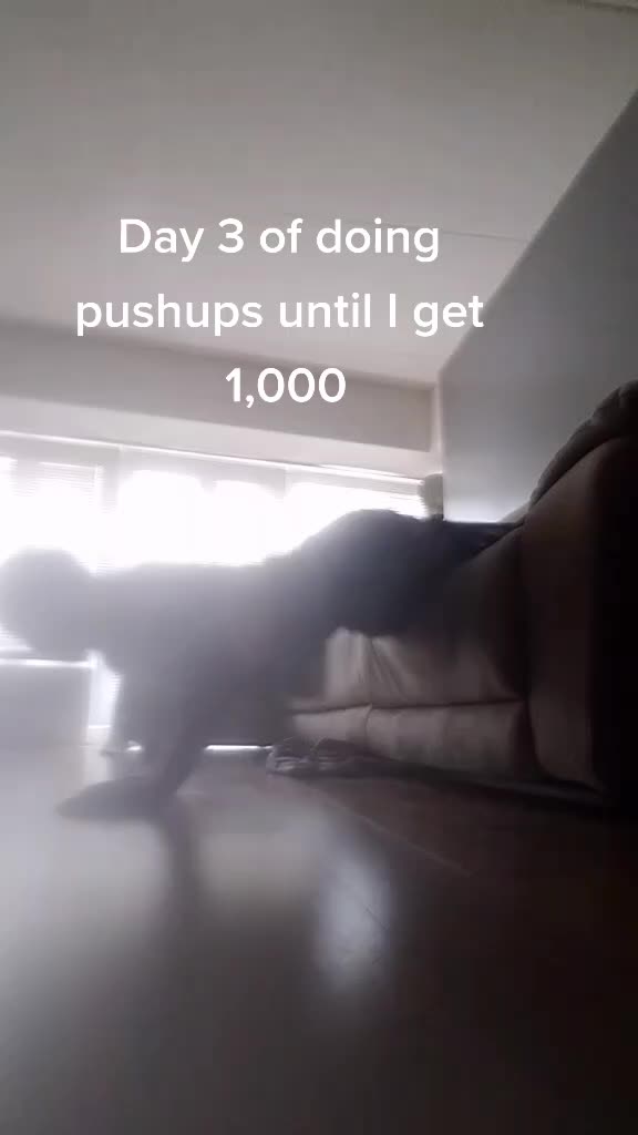 @Nazologybtw