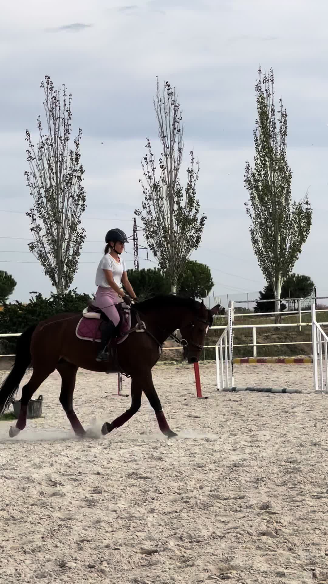 @MHA Teamriding
