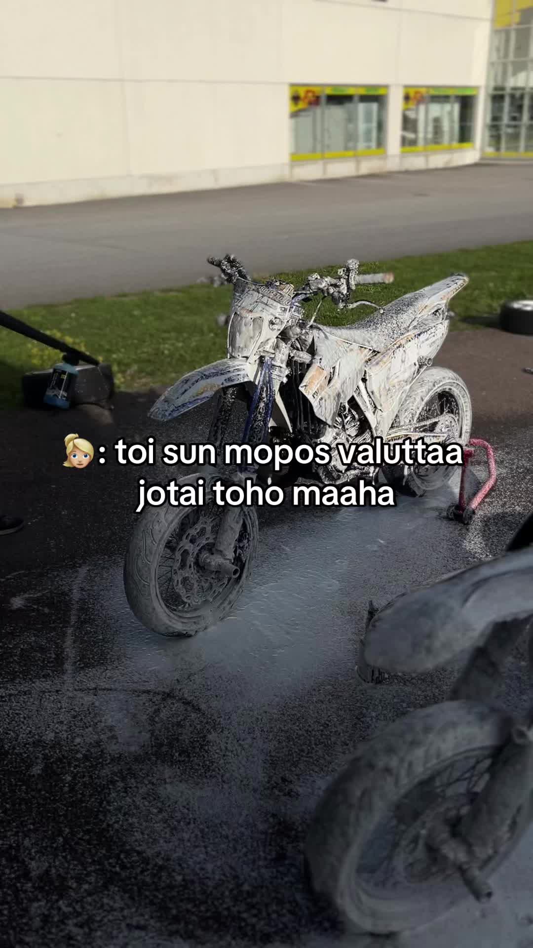 @luca🪼