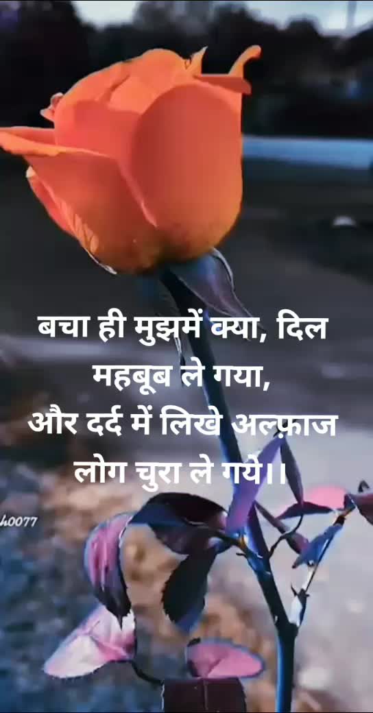 @Innocent Boy 🙂