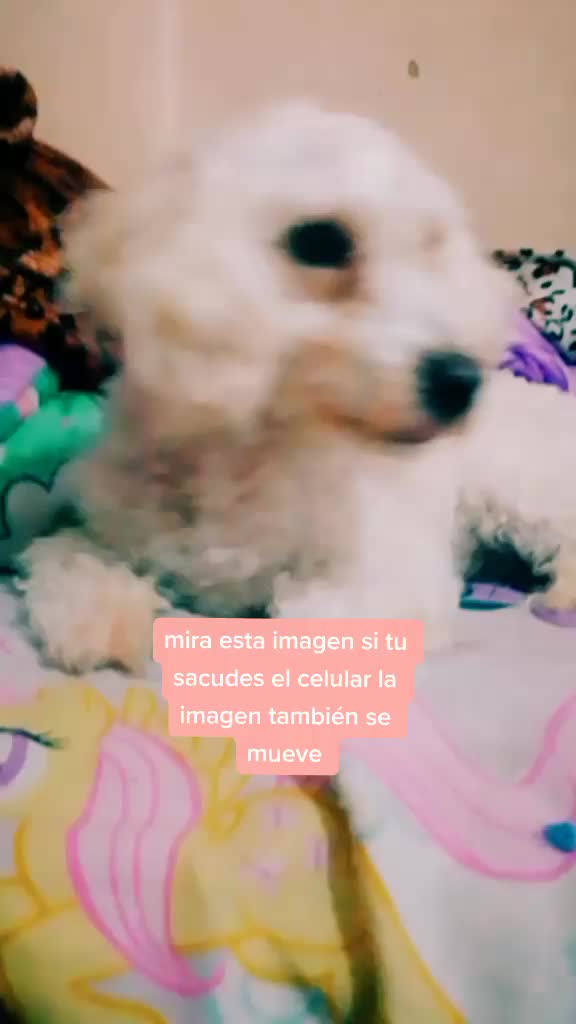 @Princesadulce&mdash;
