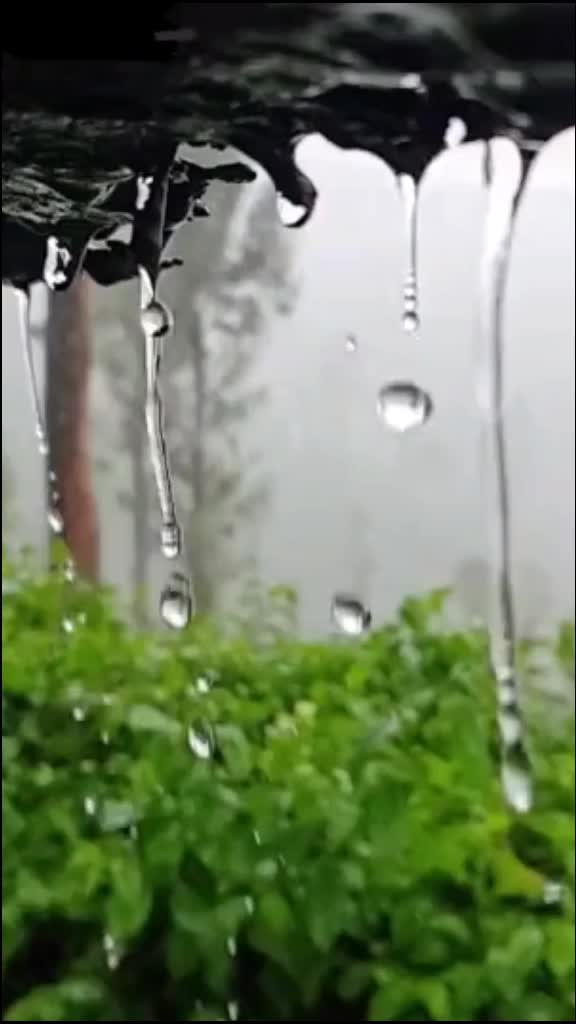 @الحمد لله