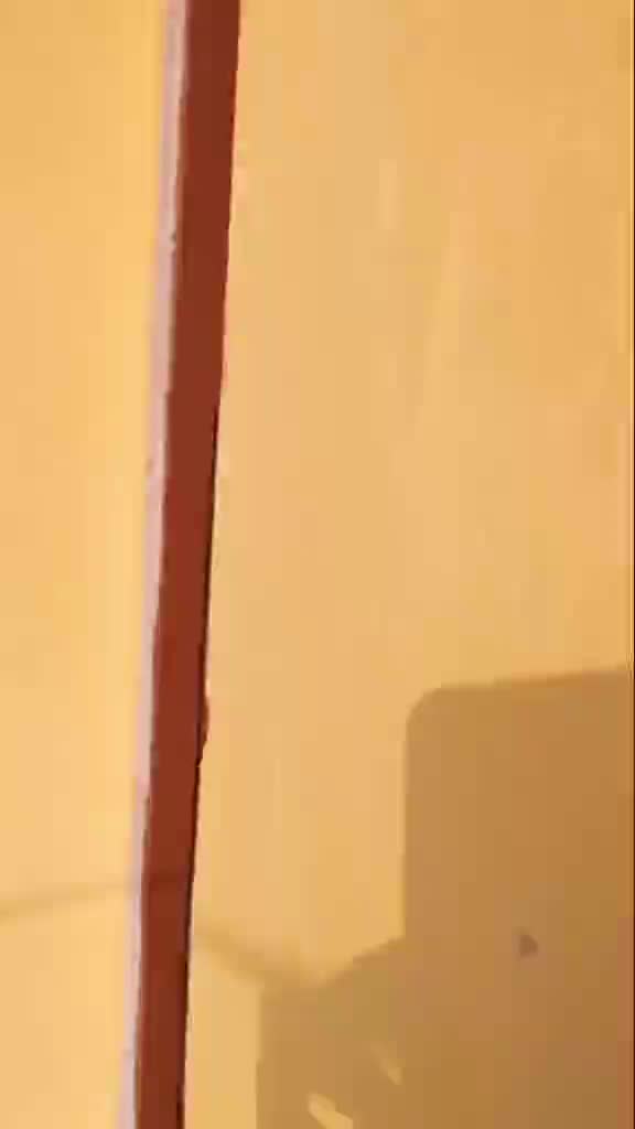 @Neha Chauhan