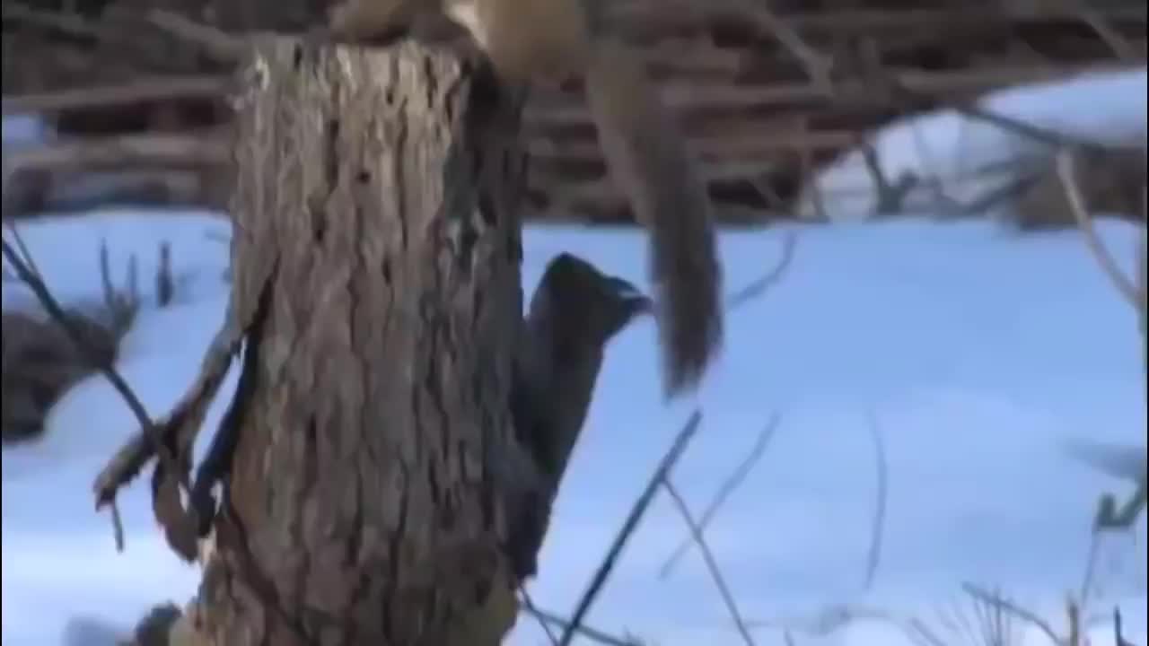 @Mating