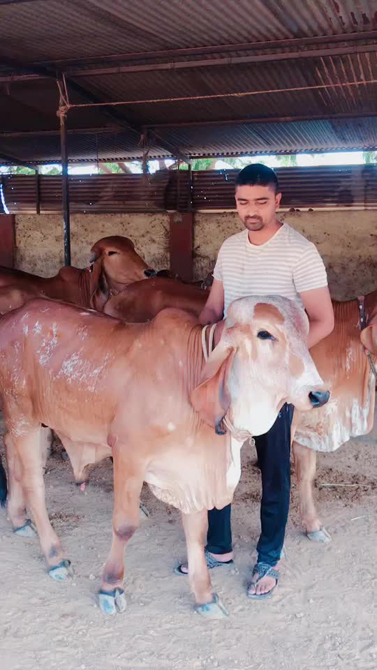 @Mehul Bharwad Satiya