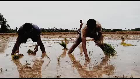 @sharp maruthu mp