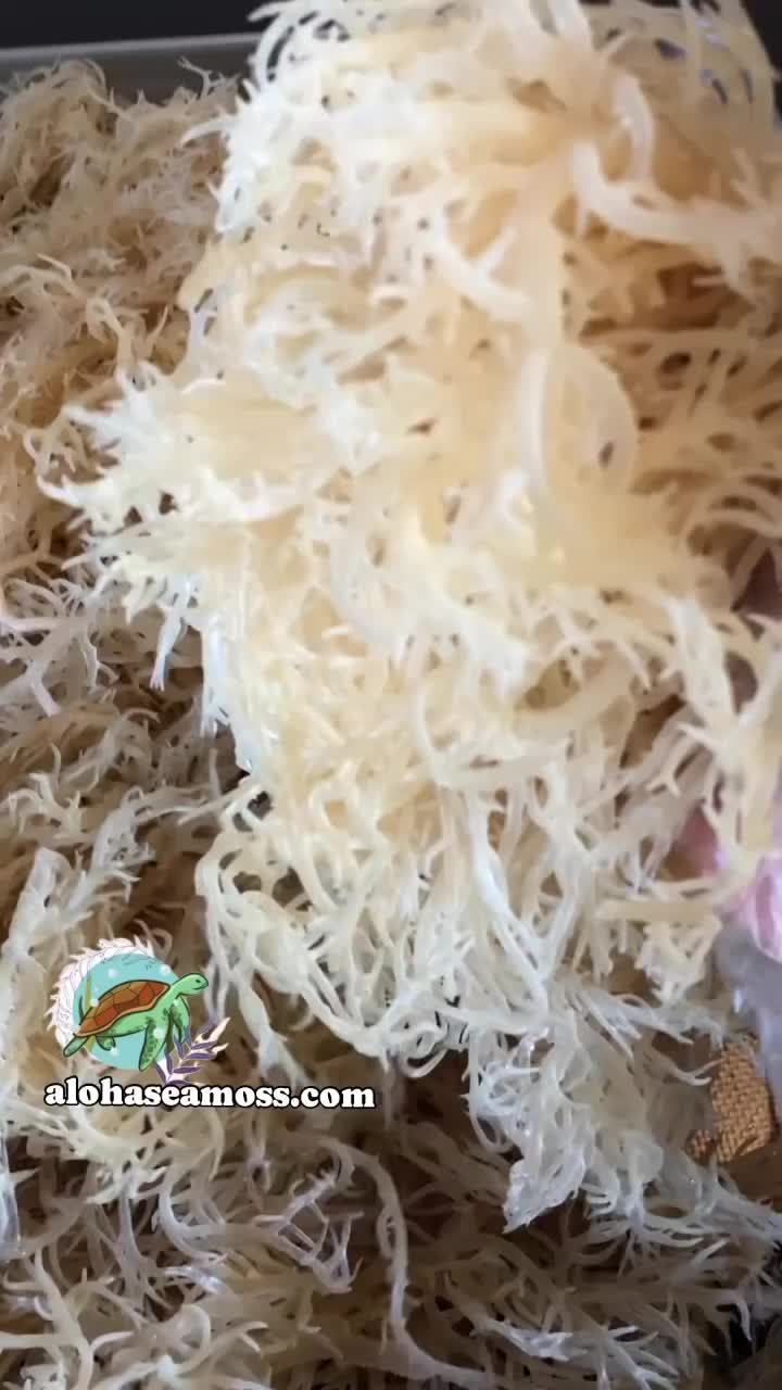 @Aloha.Seamoss