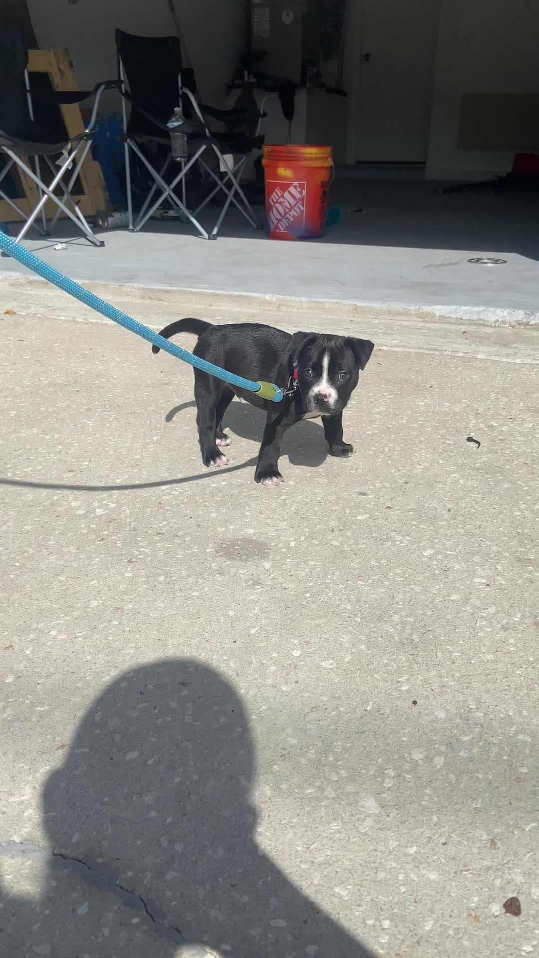 @Acebully