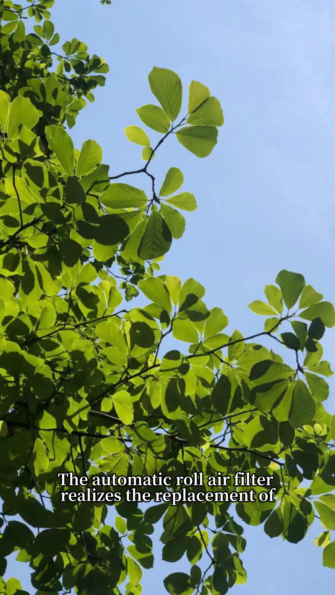 @ecoleadfilter