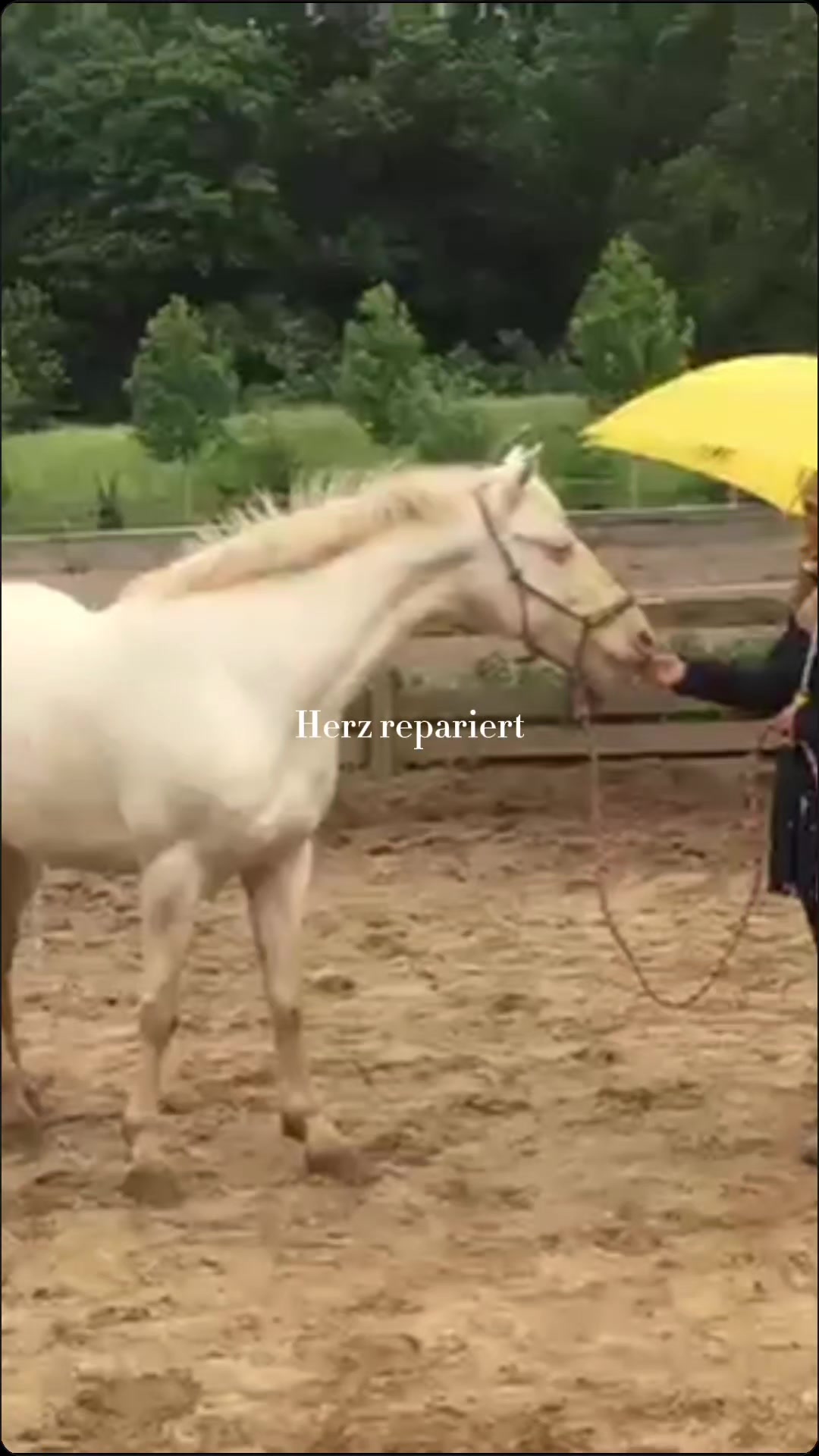 @Khaleesithecremello🦄