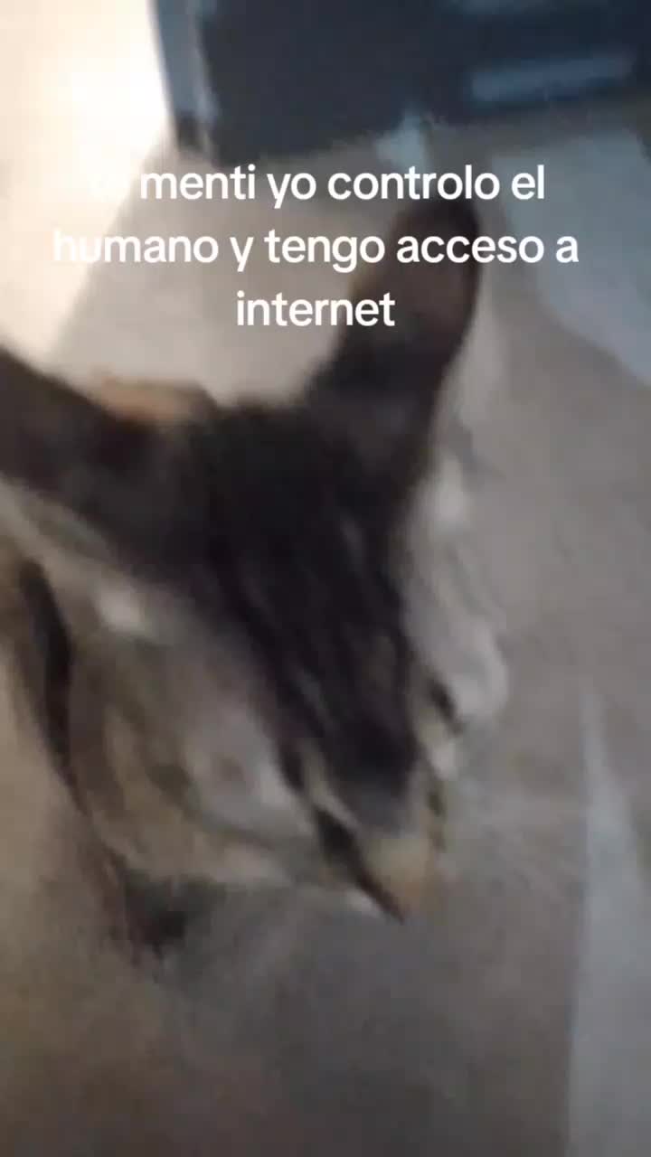 @XDDĎDDDDDDD .O.