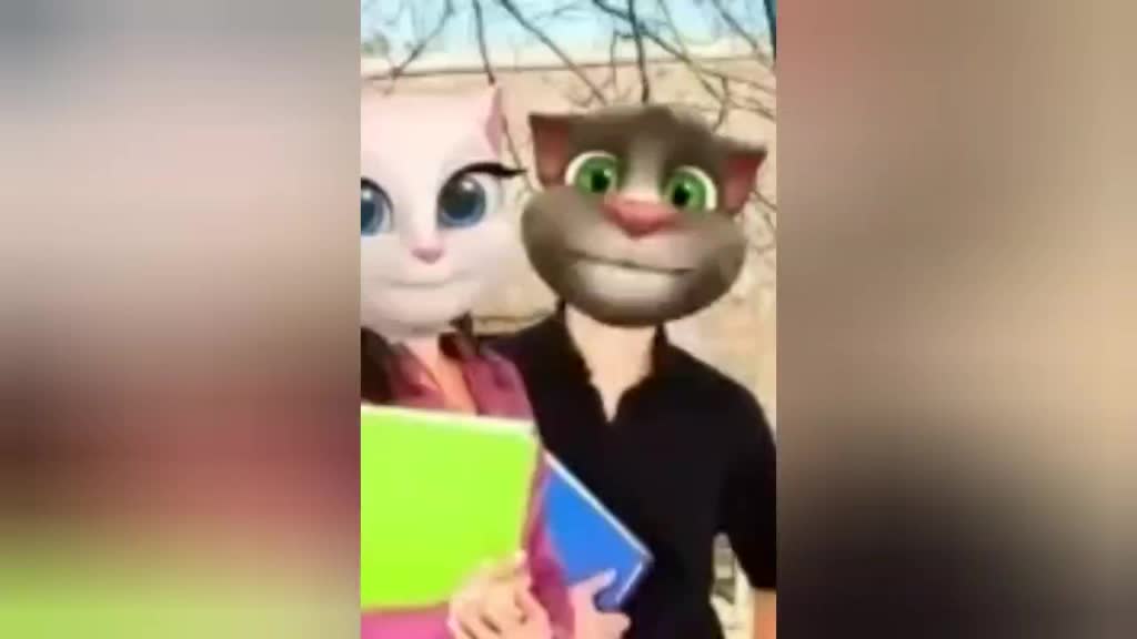 @rai