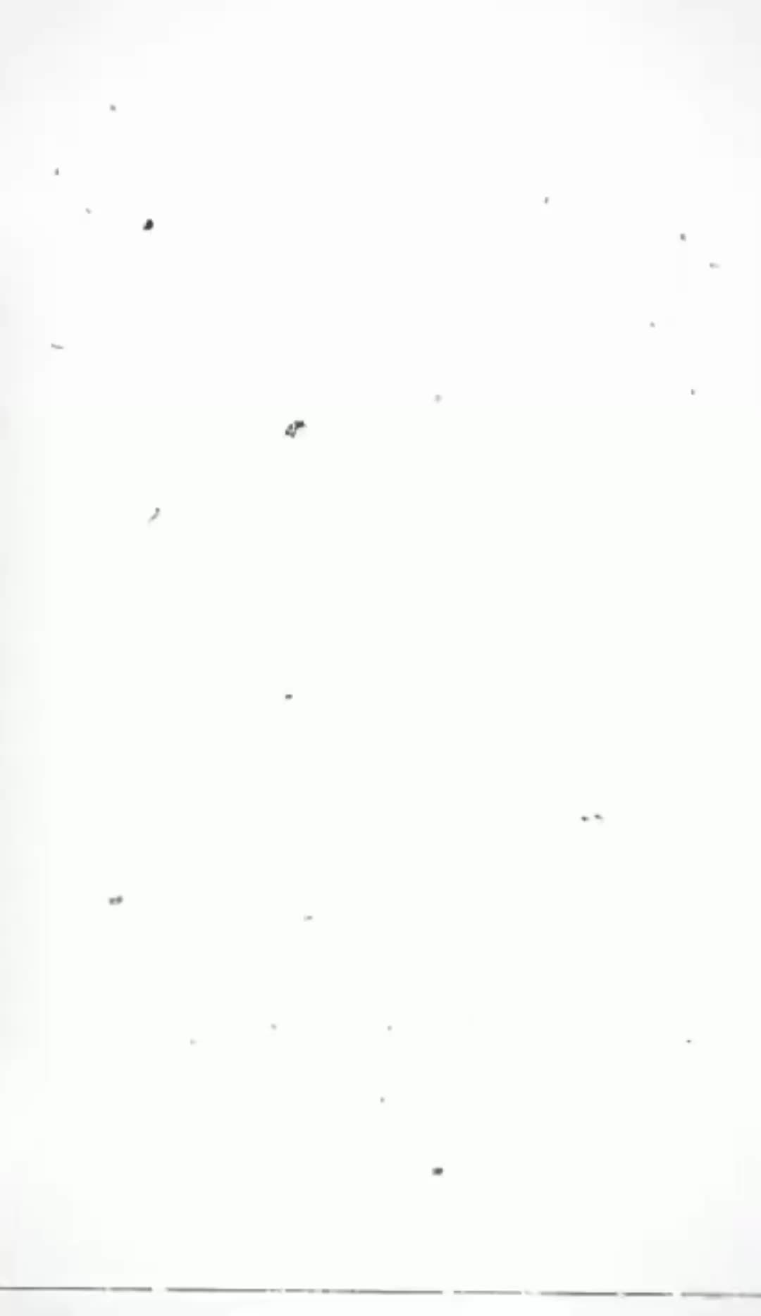 @King__is__King__